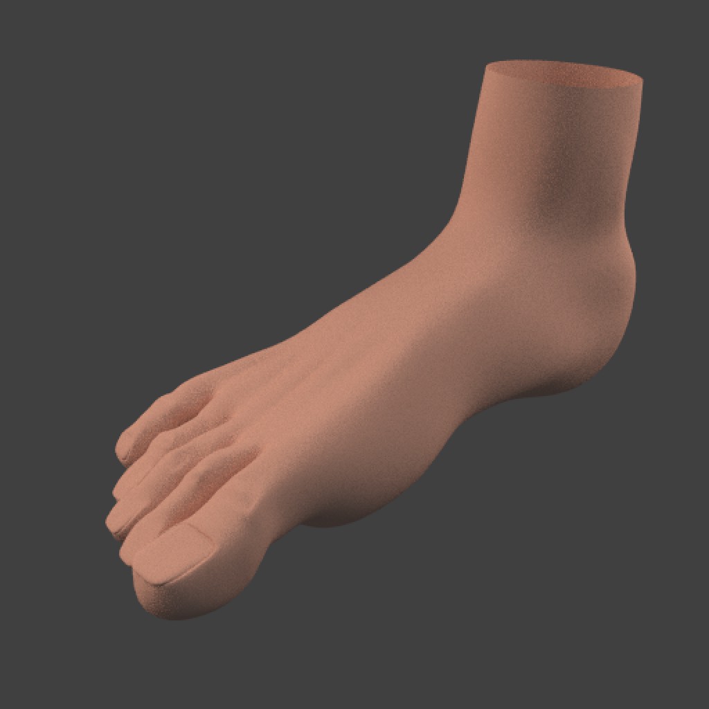 foot right human preview image 2